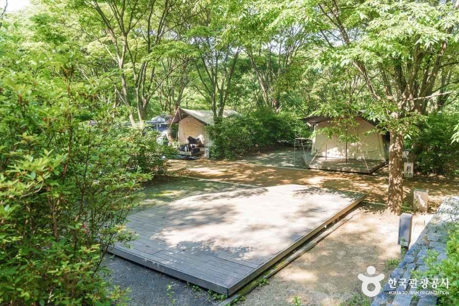 중랑숲캠핑장