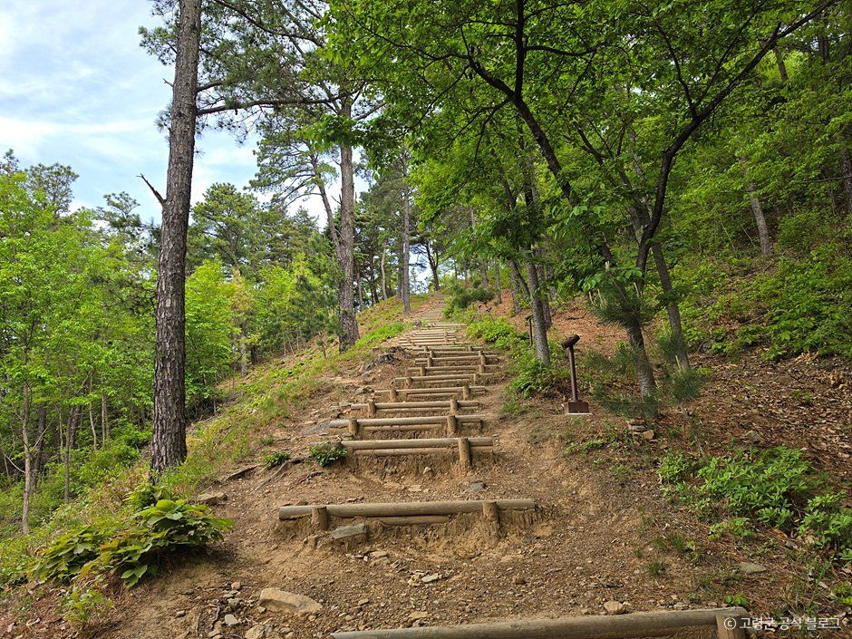 고령 주산성 사진 5