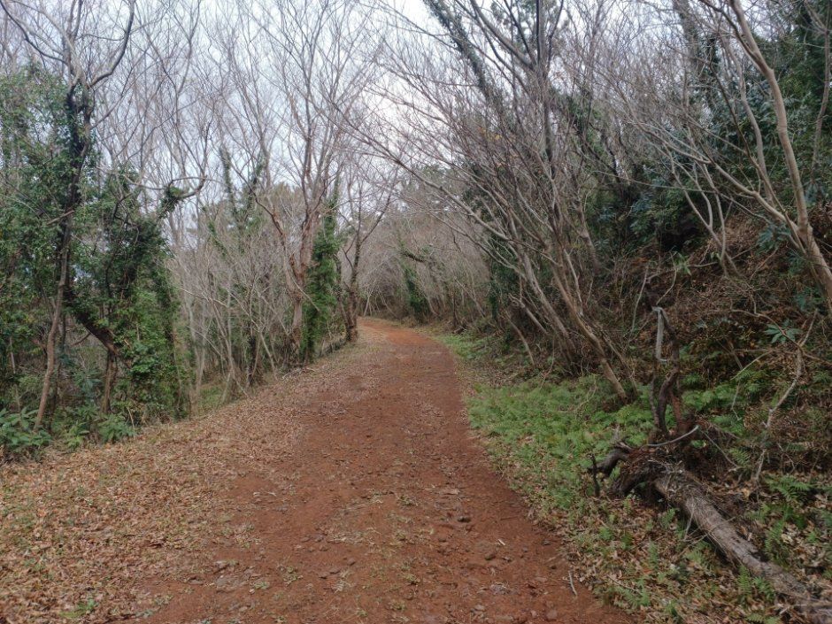 서귀포_가시오름 (7).jpg