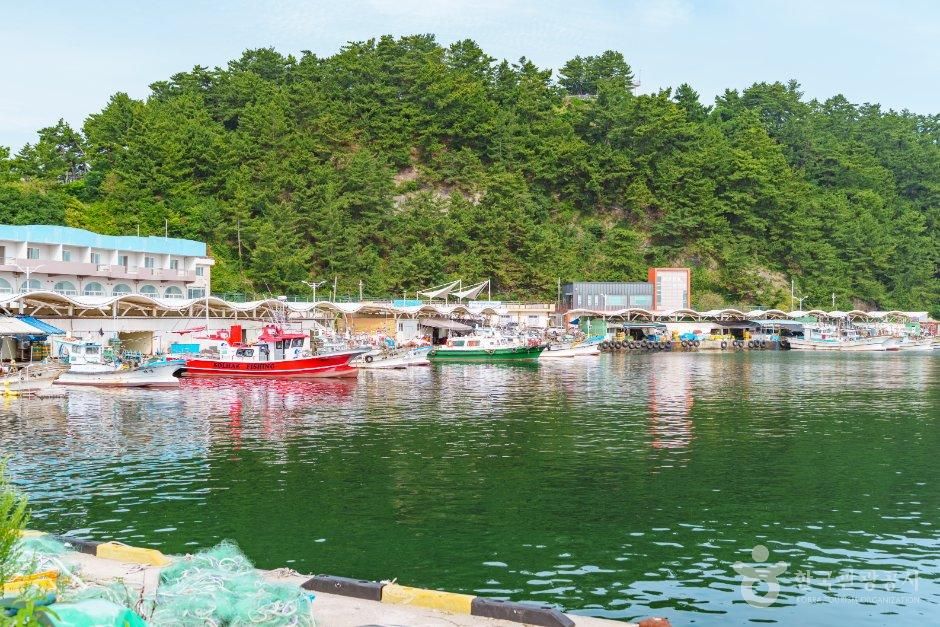 강릉시_안인항 (5).jpg