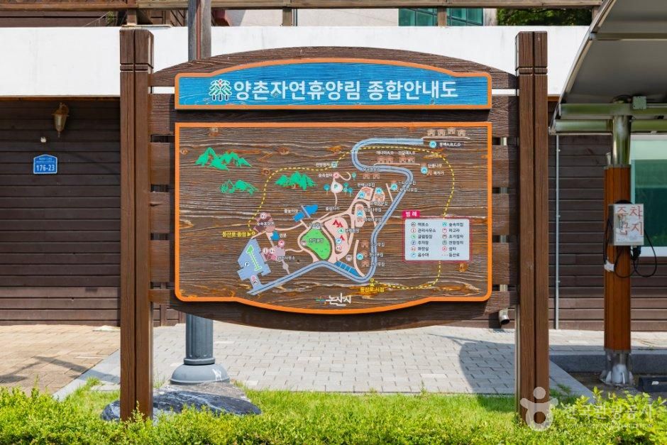 충남_논산시_양촌자연휴양림 (1).jpg