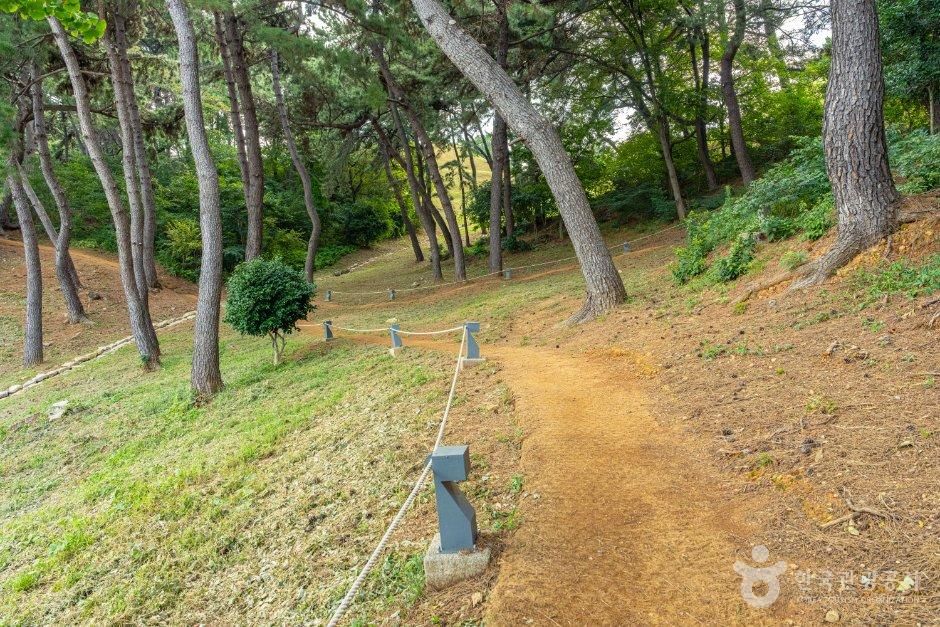 부산_연제구_부산연산동고분군 (1).jpg