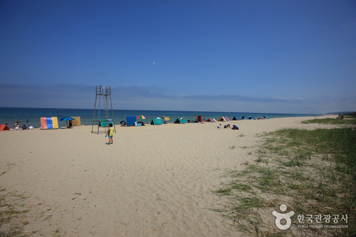 도직해변 도직해변