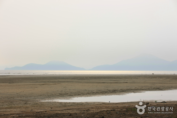 다대포해수욕장 다대포해수욕장