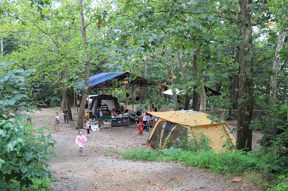 平和江辺樹木キャンプ場