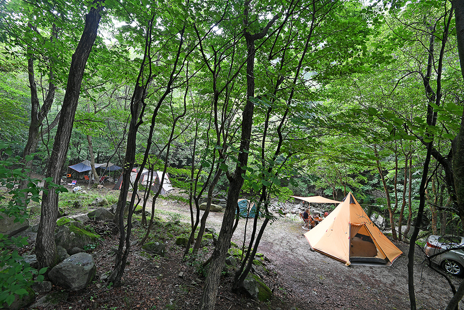 龍湫自然休養林野営場