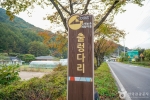 경북_예천_예천 출렁다리마을 (11)