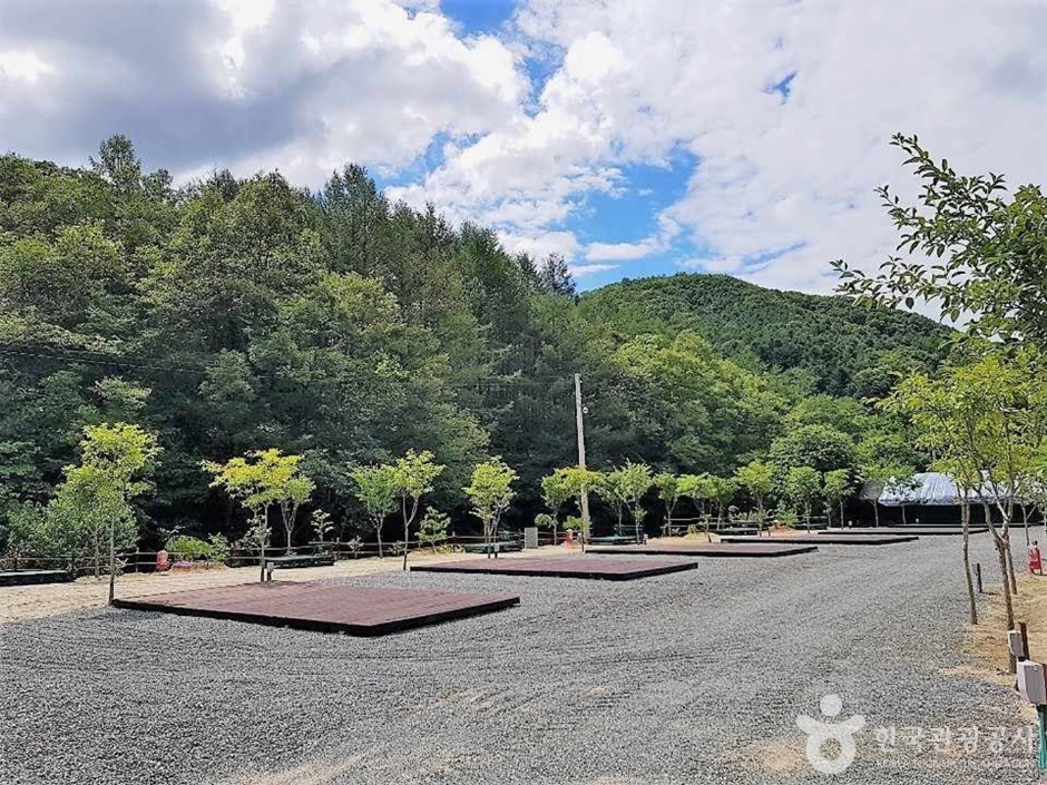 プルムサンキャンプ場