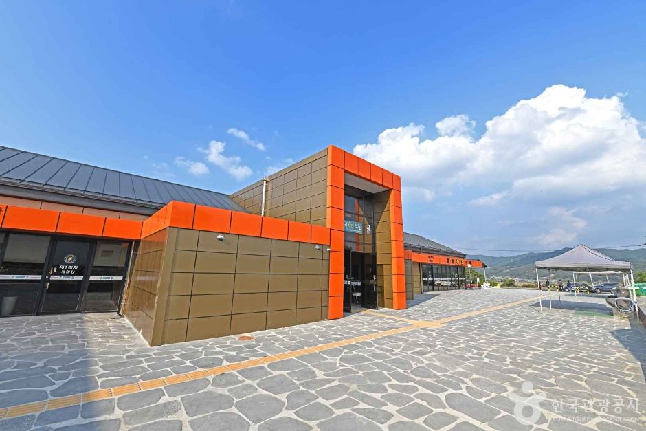 公州奶酪学校
