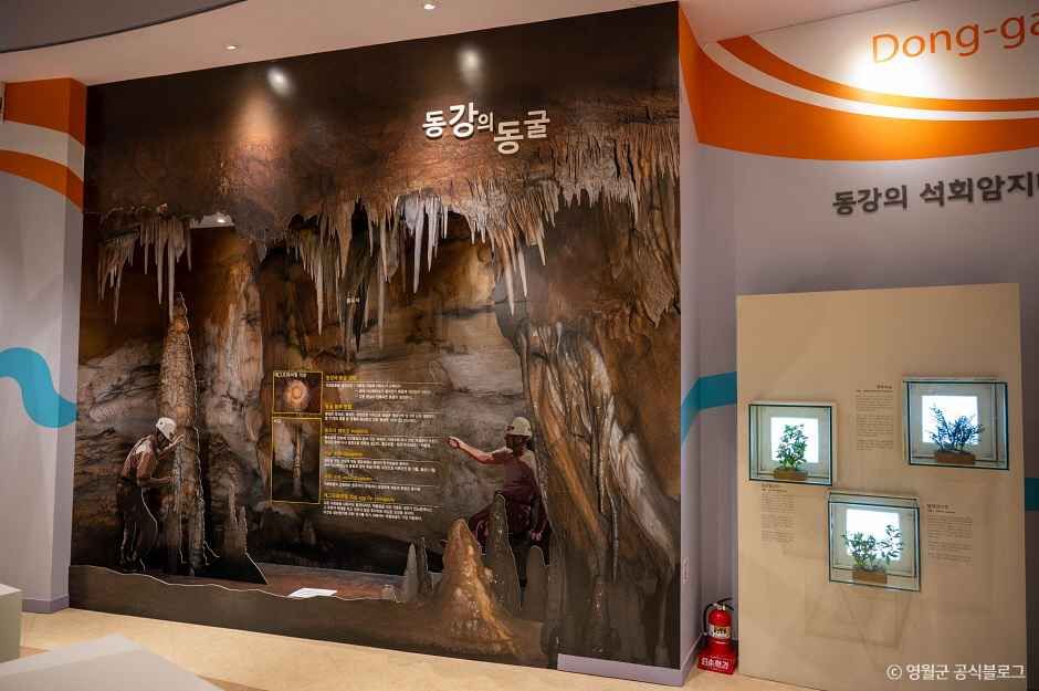 영월곤충박물관 사진 5