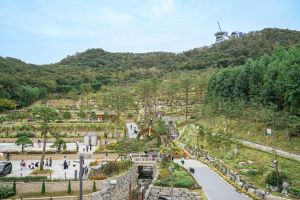 [DMZ 평화의 길] 강화평화전망대 코스