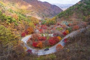 단양 보발재 (3) 미리보기