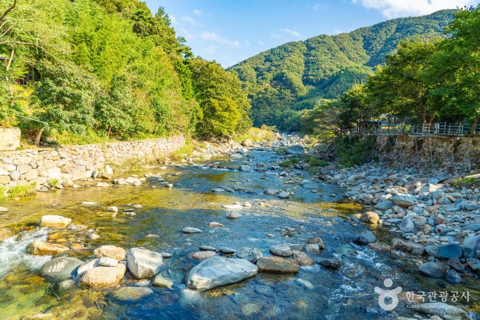 Baegam Dongcheon