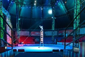 당진 월드 아트 서커스