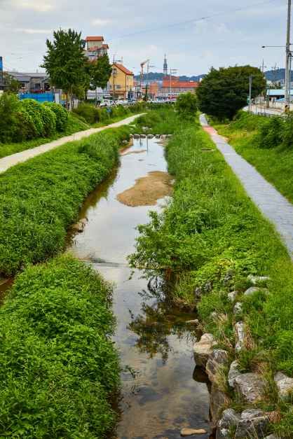 율량천_3