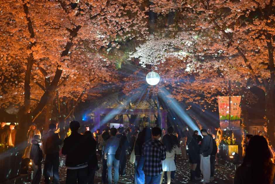 경주 대릉원돌담길 축제