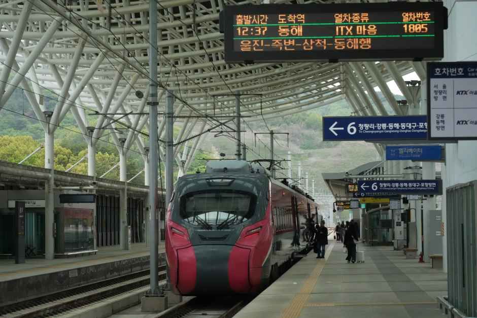 6番線入線の釜田発江陵行きKTX-イウム753号と釜田発東海行きITX-マウム1805号