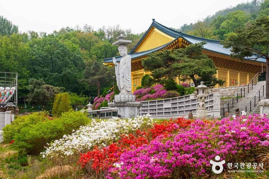 수국사(서울)