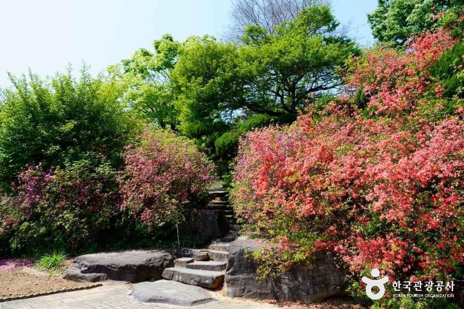 그림같은 수목원(그림이 있는 정원)