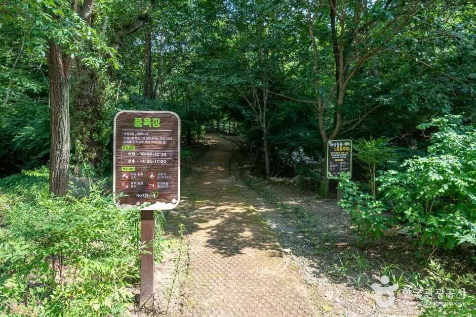 경산 치유의 숲