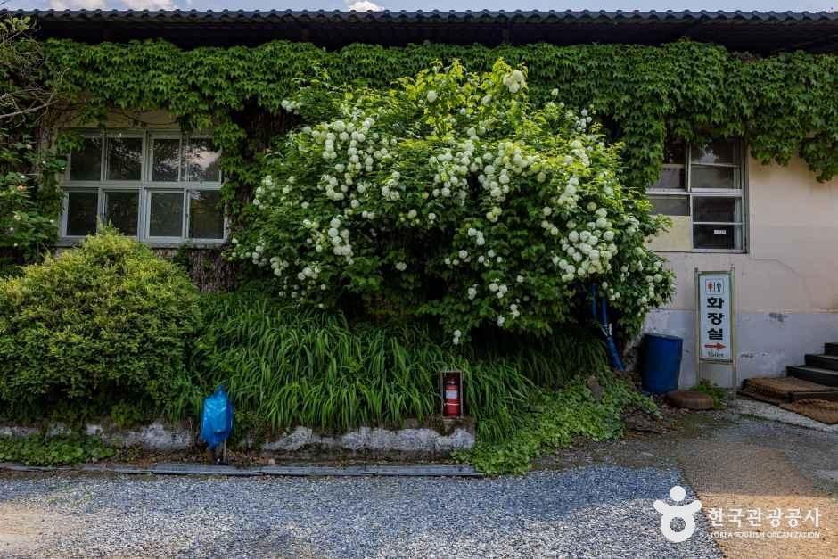 제천패밀리오토캠핑장