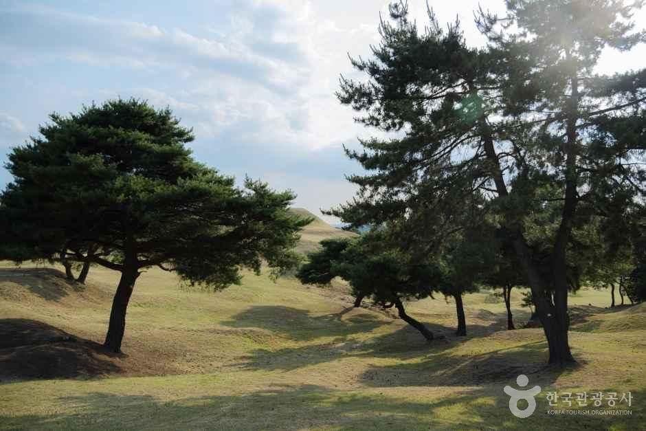 대구_동구_대구 불로동 고분군_외부_8.jpg