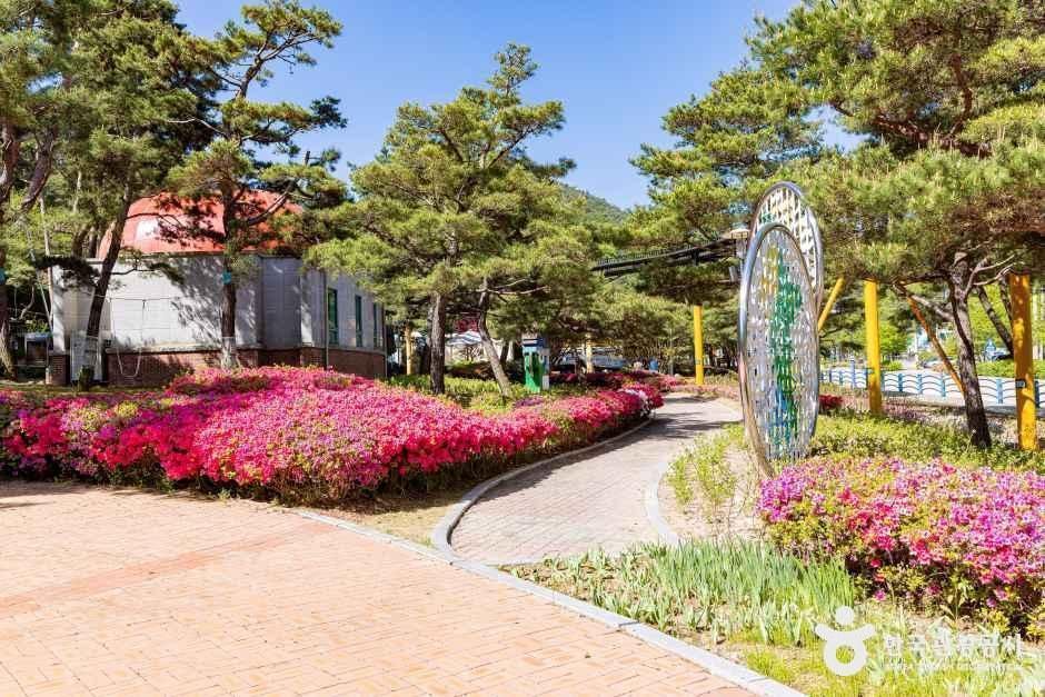 솔향공원