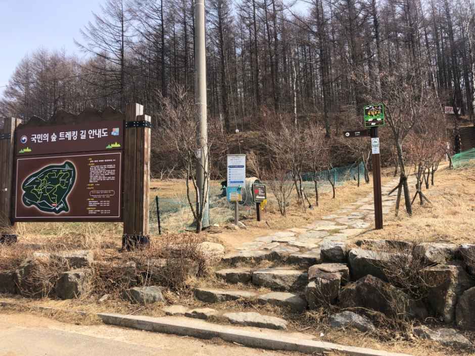 평창_국민의 숲 트레킹 코스 (10).JPG