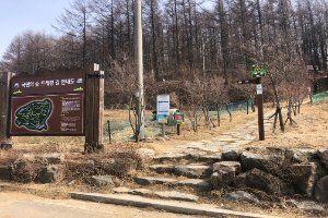평창_국민의 숲 트레킹 코스 (10).JPG