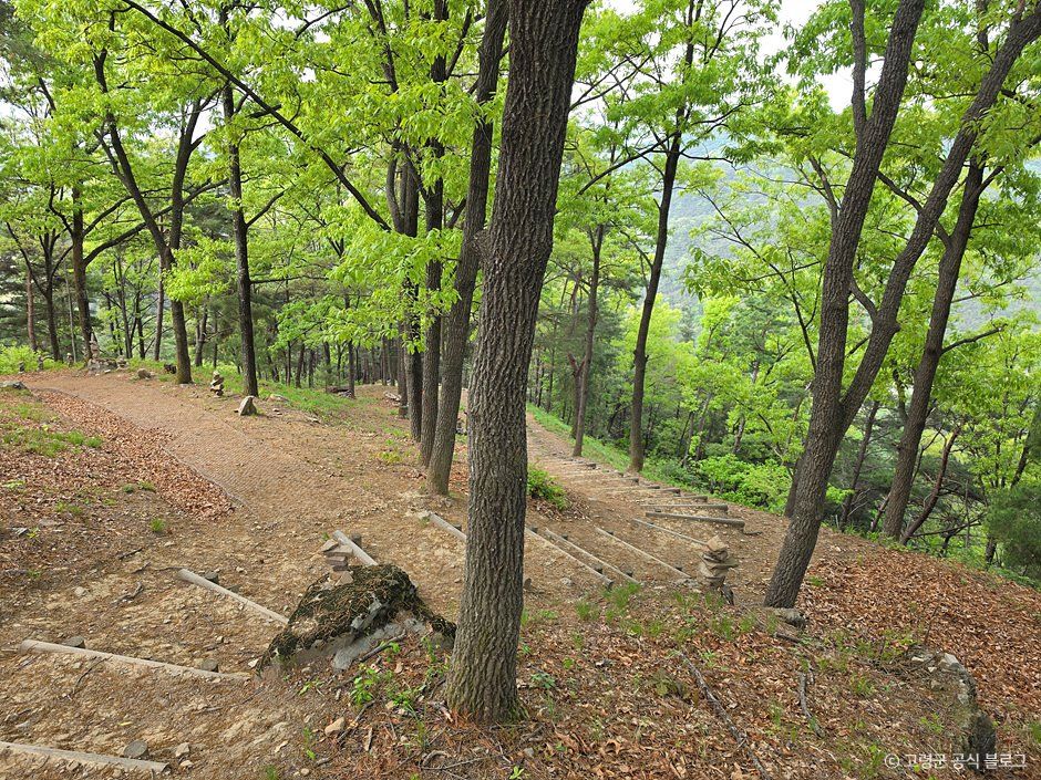 고령 주산성 사진 6