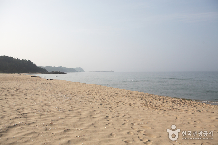 동호해변(양양) 동호해변(양양)