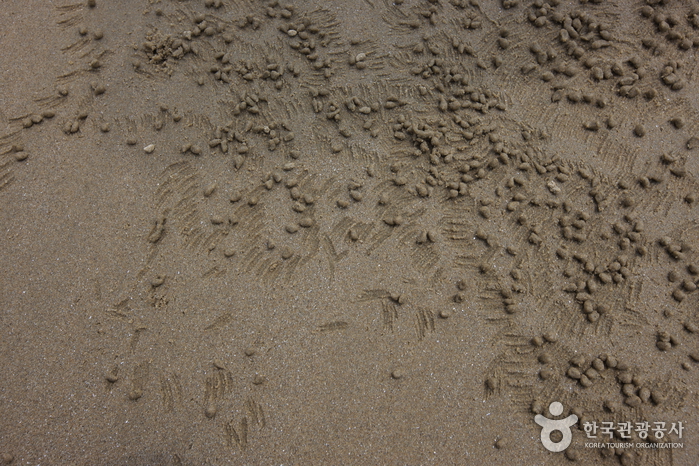 도초 시목해수욕장