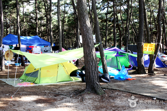 고사포해수욕장 고사포해수욕장