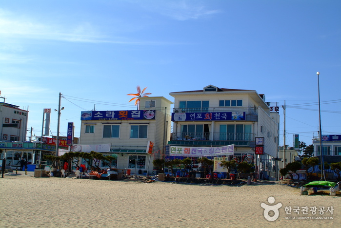 연포해수욕장 연포해수욕장