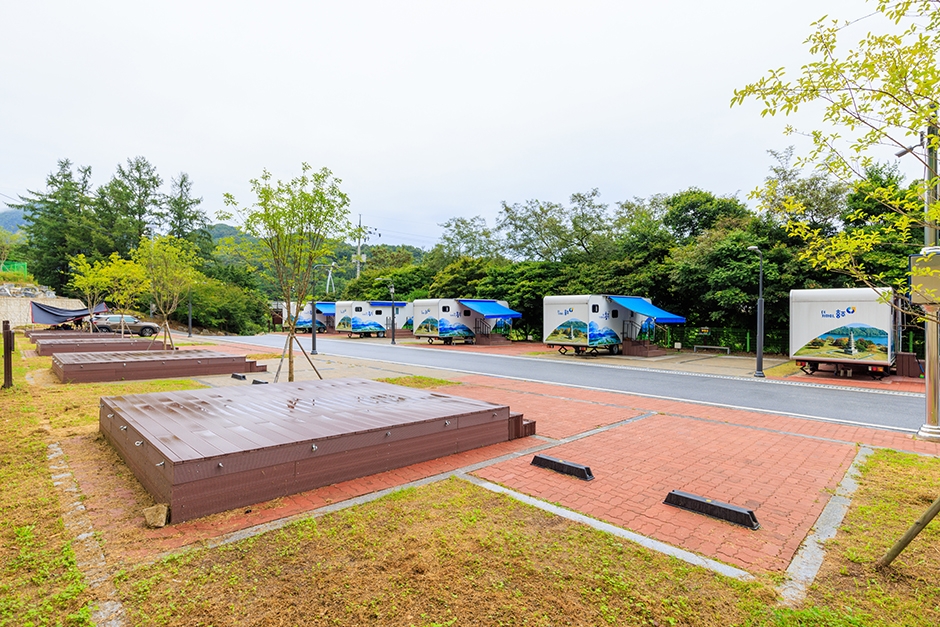 凤凰自然休养林 林间露营地