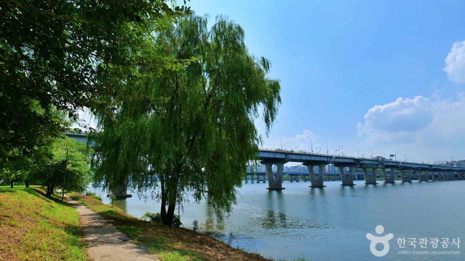 汉江市民公园广渡口地区(广渡口汉江公园)