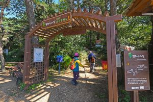 평화누리길 2코스 조강철책길