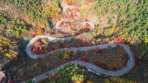 단양 보발재 (4) 미리보기
