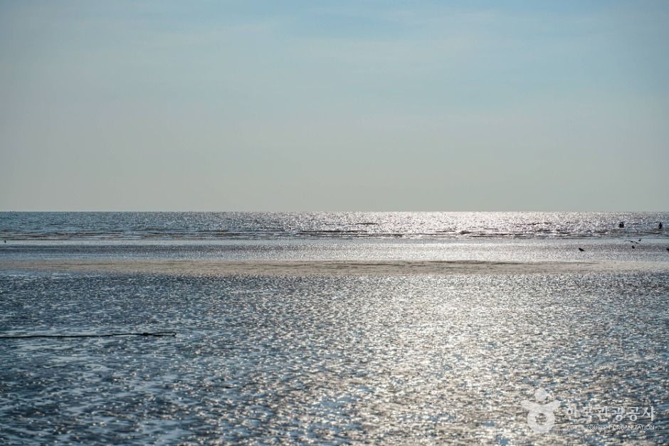 九時浦海水浴場