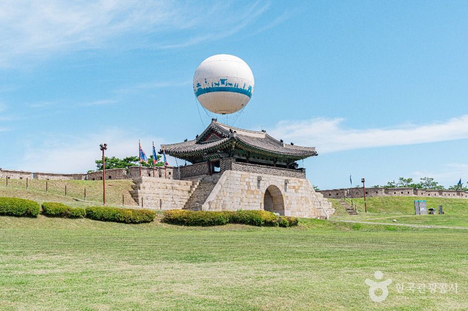 Flying Suwon