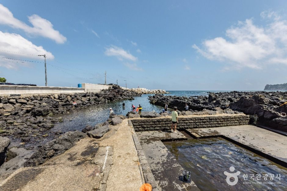 法还浦