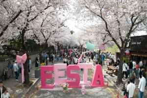 경주 대릉원돌담길 축제