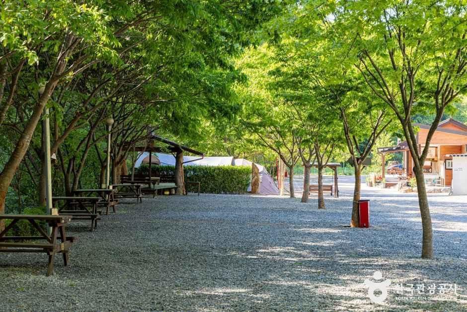 별밤펜션 캠핑장