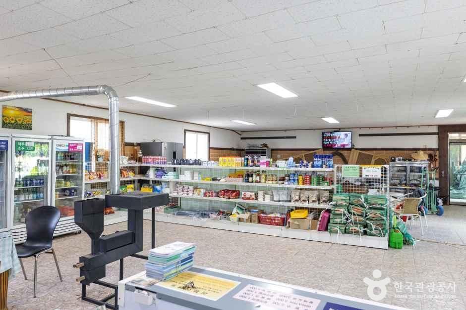 제천패밀리오토캠핑장