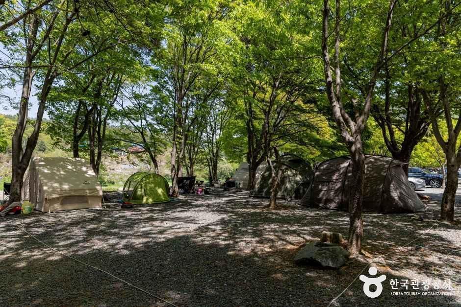 써니밸리캠핑장