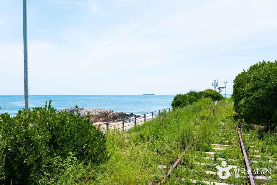 하평해변(동해)