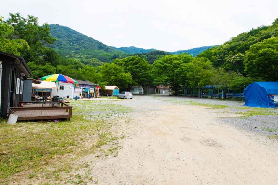 비타민캠핑장