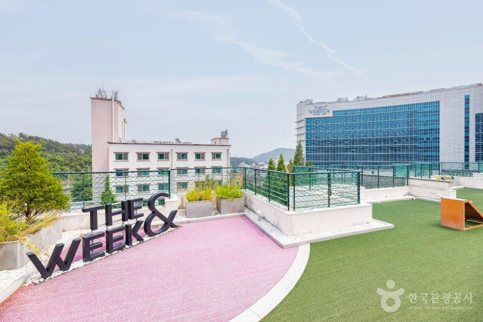 더위크앤리조트 (THE WEEK & RESORT)