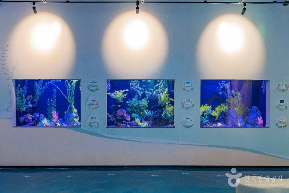 강원_고성_화진포해양박물관 (6).jpg