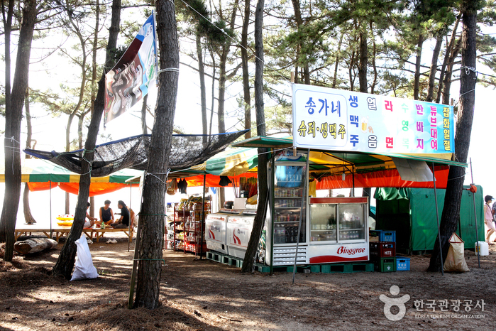 고사포해수욕장 고사포해수욕장